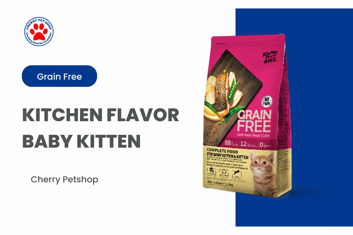 Kitchen Flavor Baby Kitten Kelengkapan Produk Cherry Petshop