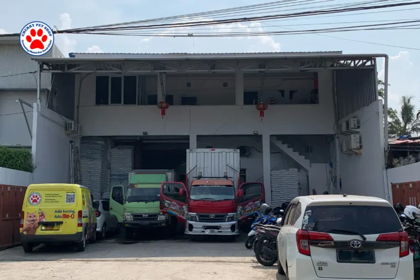 Alamat Gudang Cherry Petshop, Tempat Belanja Kebutuhan Hewan Lengkap di Cilacap