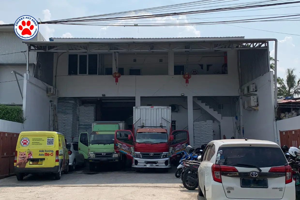 Alamat Gudang Cherry Petshop, Tempat Belanja Kebutuhan Hewan Lengkap di Cilacap