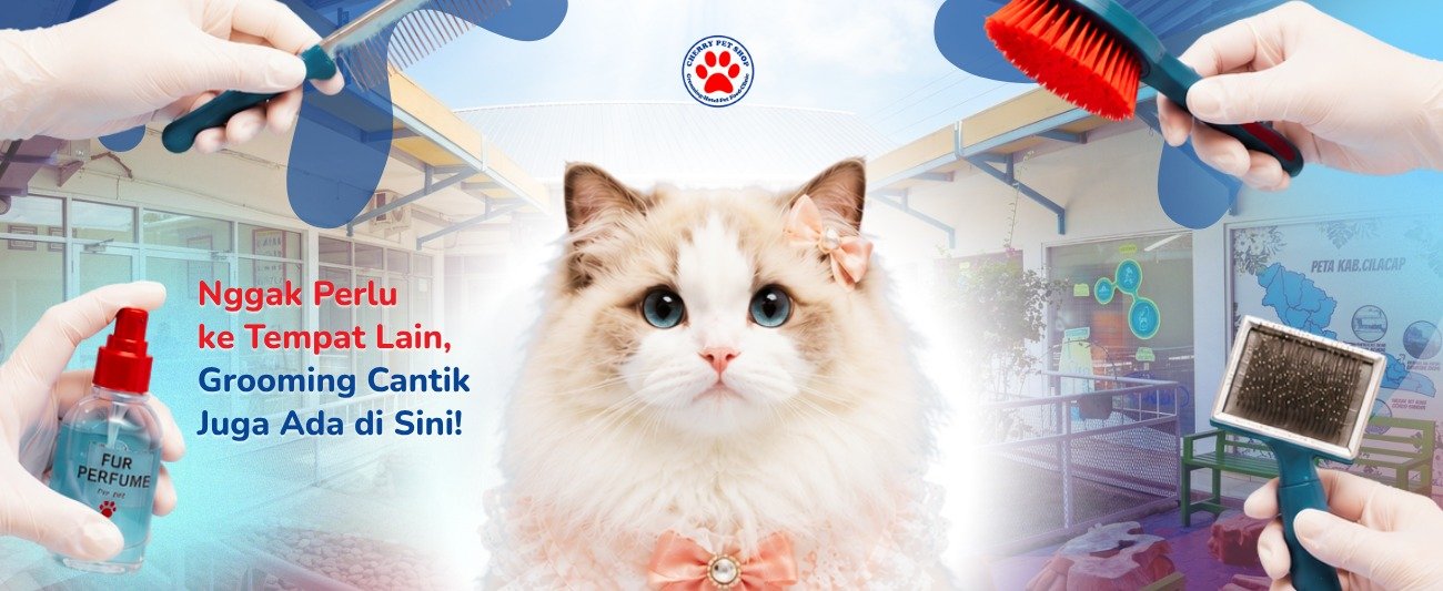 WhatsApp Image 2026-06-23 at 09.24.50