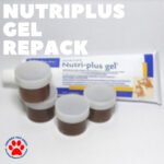 Nutriplus Gel Repack