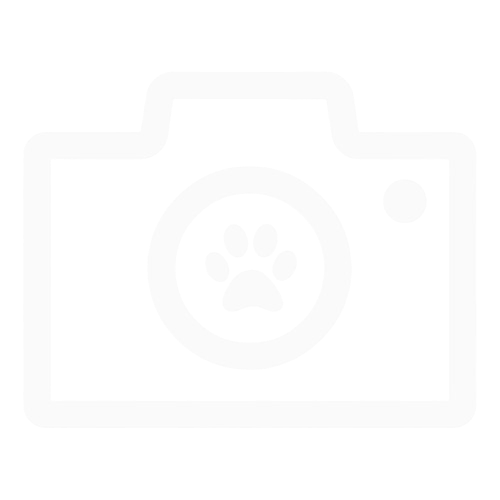 Dokumentasi cek kondisi anabul cherry pet