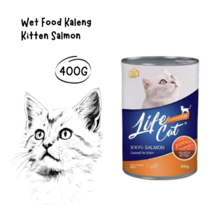 Life Cat Kaleng Kitten Salmon 400gr