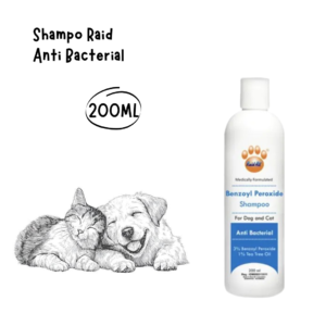 Raid Shampoo Anti Bacterial 200ml