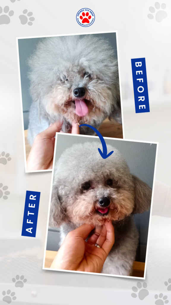 before after grooming 4
