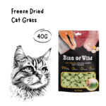 BITE OF WILD Cat Treats Freeze Dried Cat Grass - 40GR
