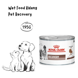 Royal Canin Kaleng Pet Recovery 195gr