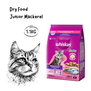 Whiskas Cat Junior Mackerel 1,1kg