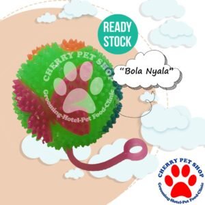 Mainan Bola Nyala