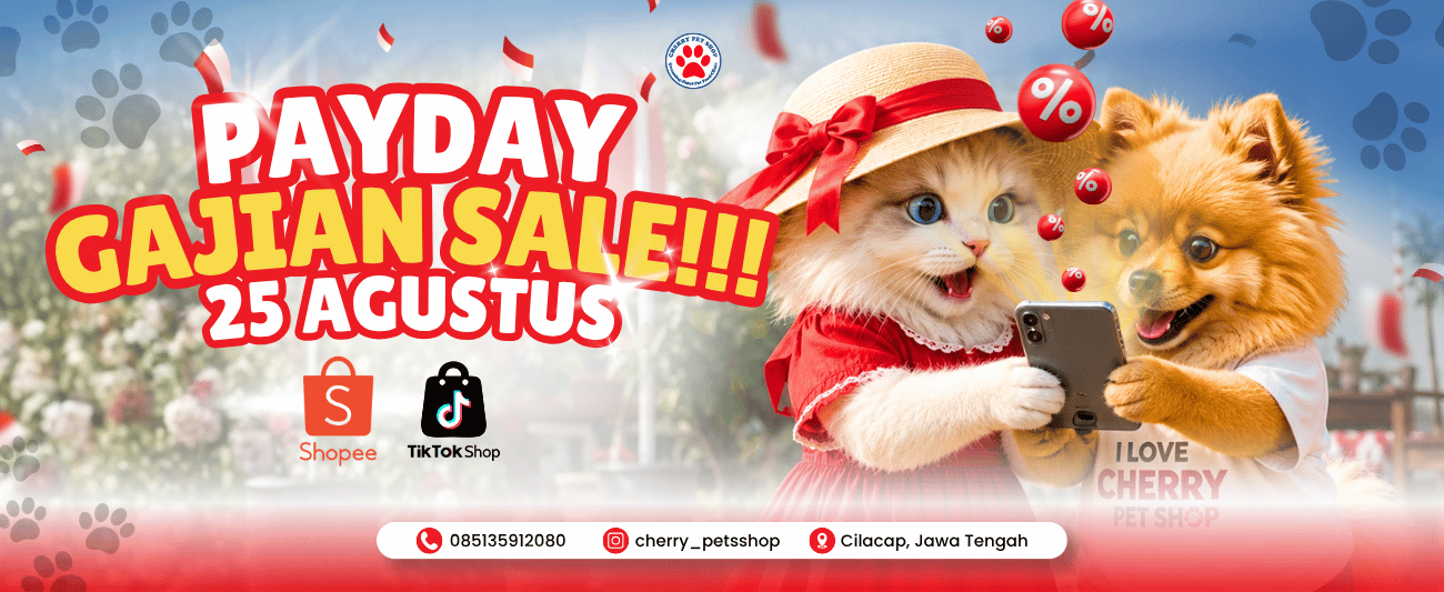 banner market place - Payday Sale - 25 Ags - website