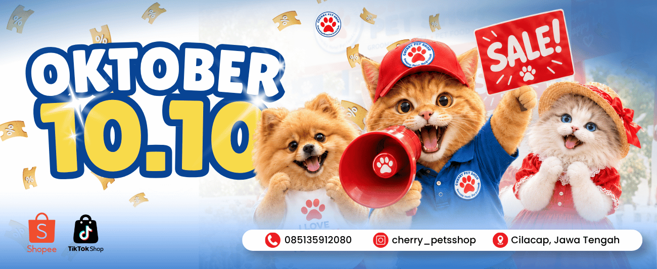 Promo Marketplace - 1010 Sale - website